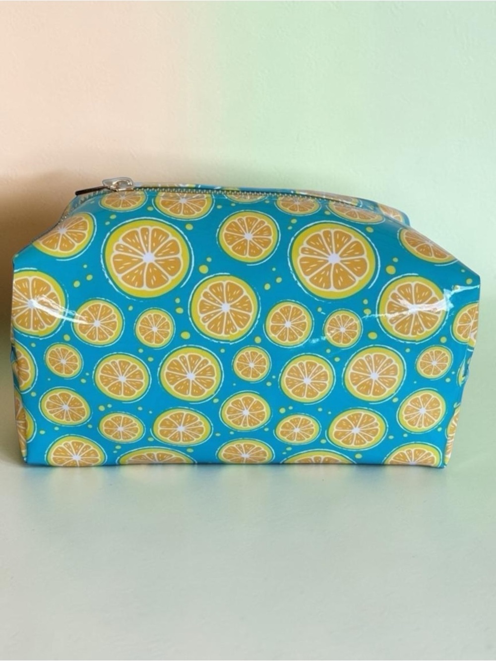 OCS Designs Orange Slice Cosmetic Bag Blue Citrus Travel Pouch NWT